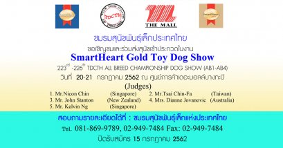 SmartHeart Gold Toy Dog Show 2019